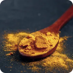 TURMERIC EXTRACT